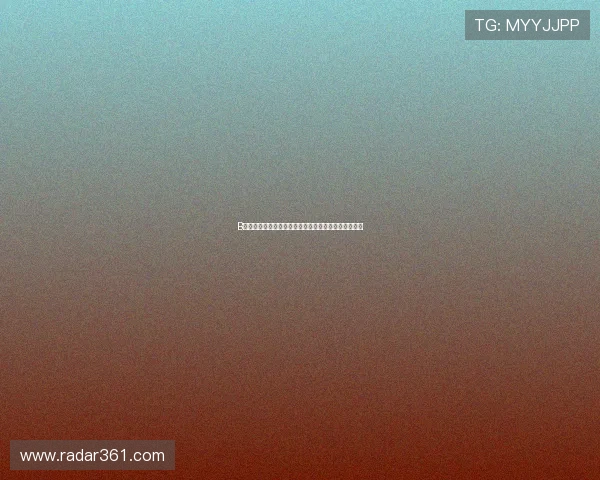 B体育官网真人游戏的最新版本更新内容与未来发展趋势